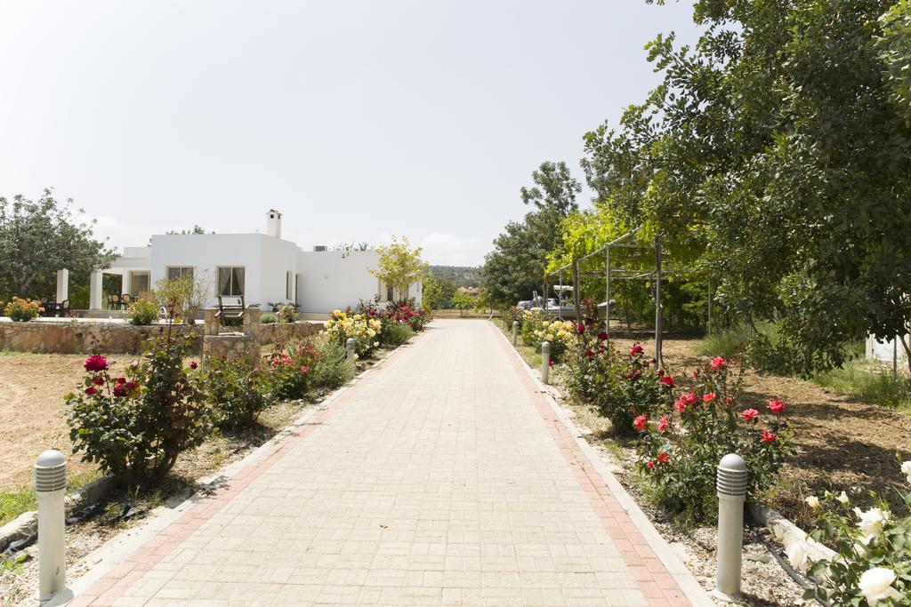 Eliofos Luxury Villa Polis Exterior foto